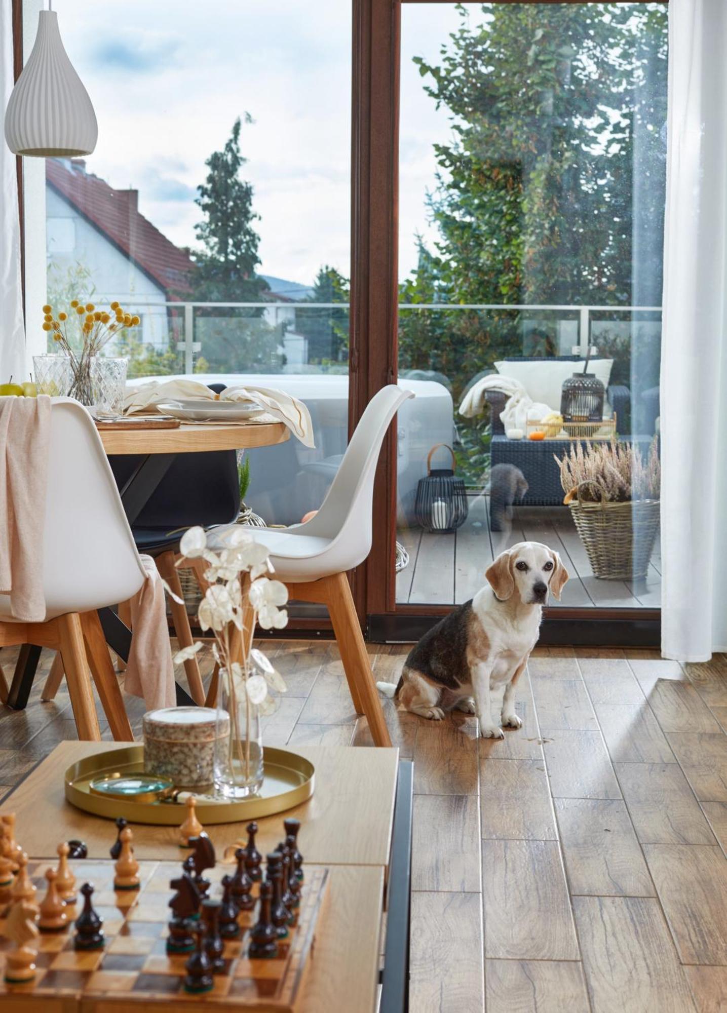 Oh Deer! Appartement Jelenia Góra Buitenkant foto